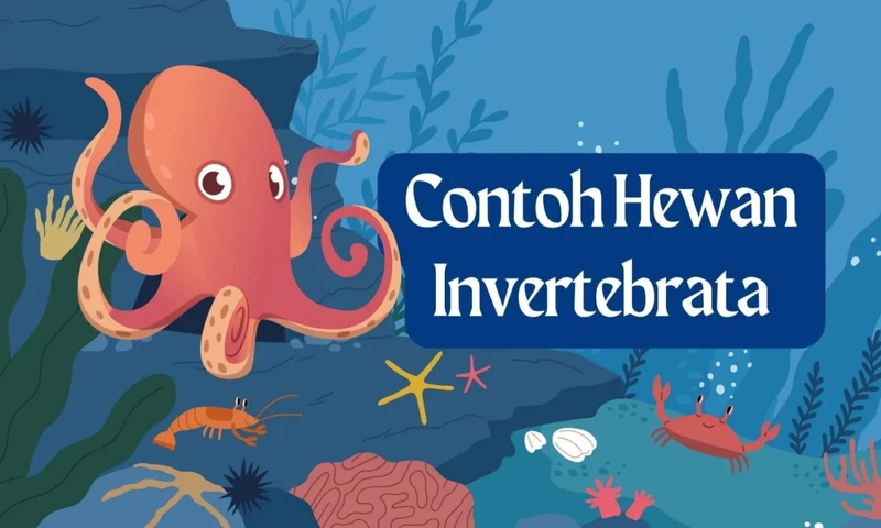 Contoh Hewan Invertebrata (Foto: Parboaboa/Ratni)
