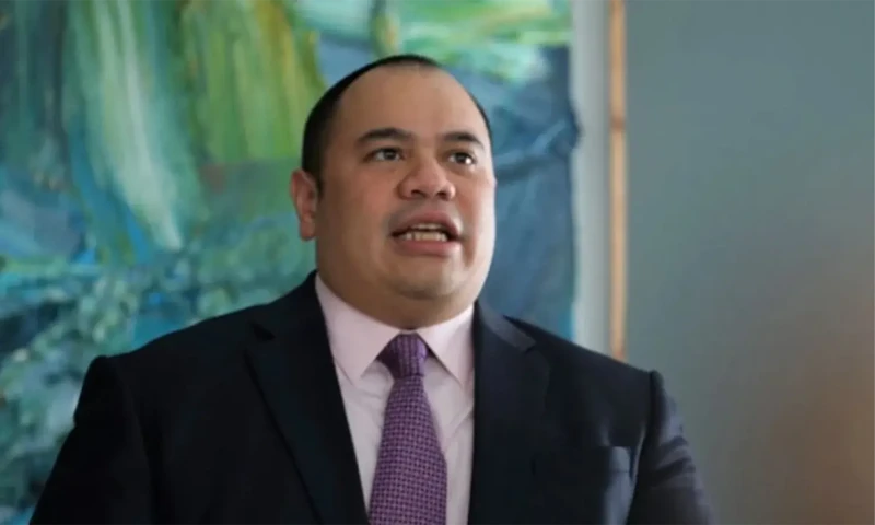 Chief Investment Officer (CIO) Danantara, Pandu Sjahrir. (Foto: ANTARA)