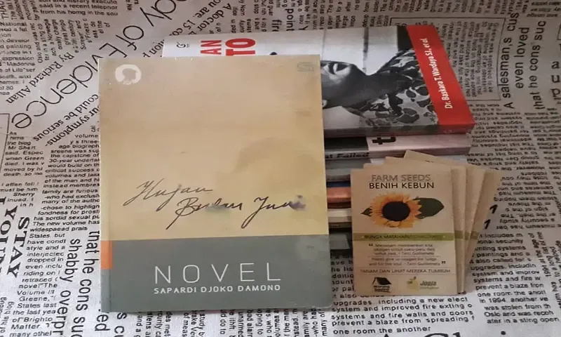 Novel Hujan Bulan Juni karya Sapardi Djoko Damono. (Foto: Instagram/@warungsastra)