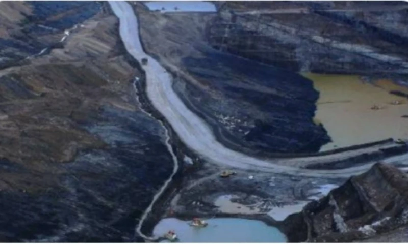 JATAM beberkan alasan kenapa isu pemulihan lingkungan tak jadi agenda prioritas capres-cawapres. (Foto: Dokumen JATAM)