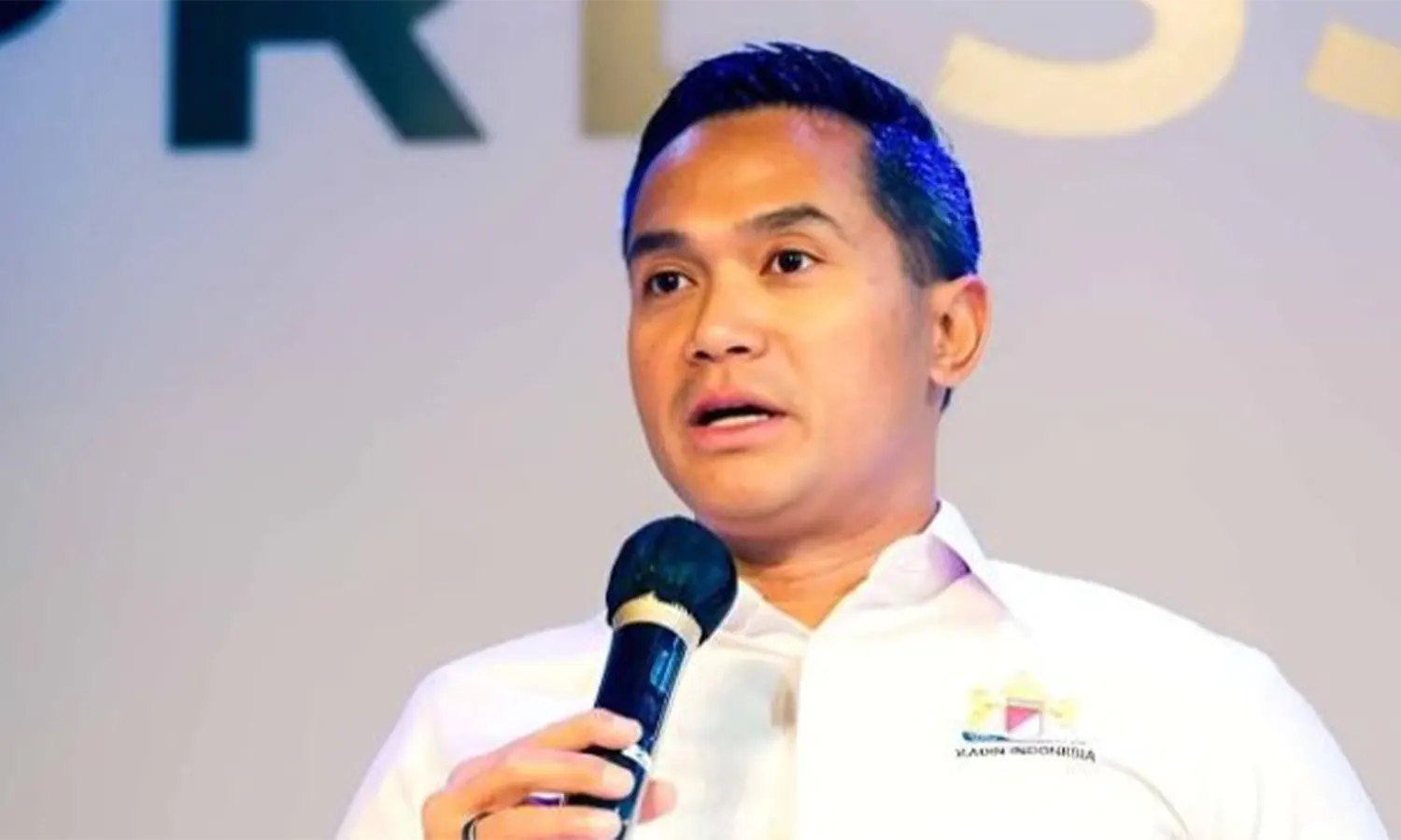 Ketua Umum Kadin Anindya Novyan Bakrie. (Foto: Dok. Antara)