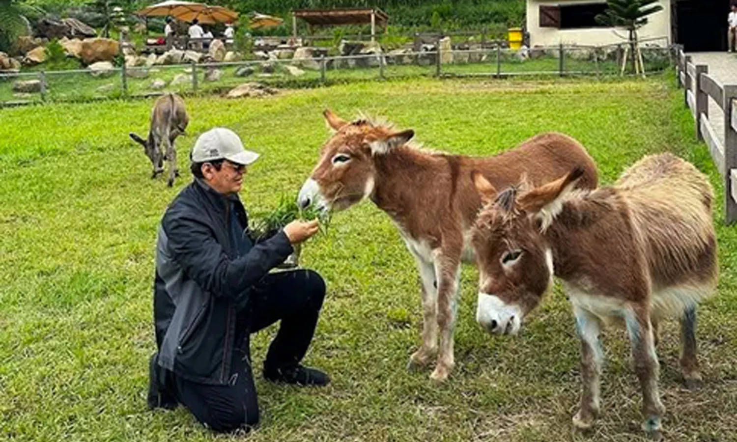 Rahmad Shah saat memberi makan keledai (Foto: Instagram/@rahmat_shah23)
