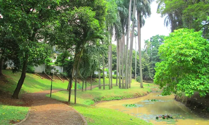 Taman Langsat Oase Tenang Dan Hijau Di Pusat Kota Jakarta Selatan Taman Langsat Oase Tenang Dan Hijau Di Pusat Kota Jakarta Selatan