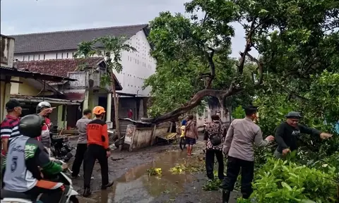 Angin Kencang Landa Bondowoso: 202 Rumah Rusak, 11 Orang Luka-luka
