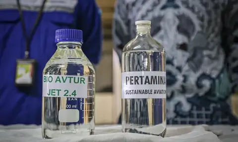 Jokowi Ingin Kelapa Jadi Bahan Bakar Pesawat, Emang Bisa?