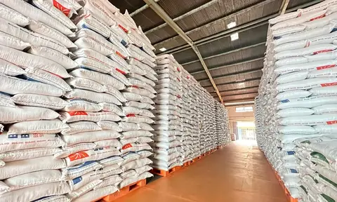 Harga Beras Kian Menguras, Ibu Rumah Tangga Semakin Cemas