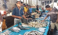 Harga Ikan Laut Melonjak, Ibu-ibu Tebing Tinggi Komplain
