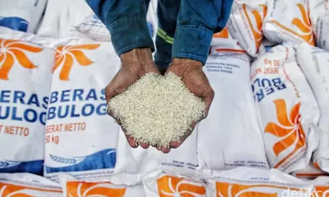 Harga Masih Tinggi, Pengamat: Manajemen Beras Bulog Tak Transparan, Ada Dugaan Monopoli