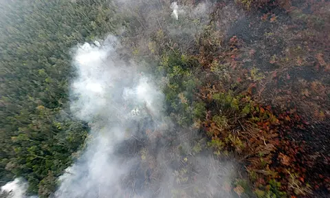 Komplain Negara Tetangga soal Asap, Pengamat IPB: Bukan Murni Salah Indonesia