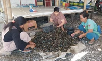 Cerita Perempuan Pengupas Daging Kerang Hijau di Muara Angke: Berharap Sejahtera dan Dapat Bantuan Pemerintah