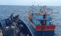 Tidak Punya Izin Berusaha, 9 Kapal Ikan Indonesia Ditangkap di Perairan Batam-Makassar