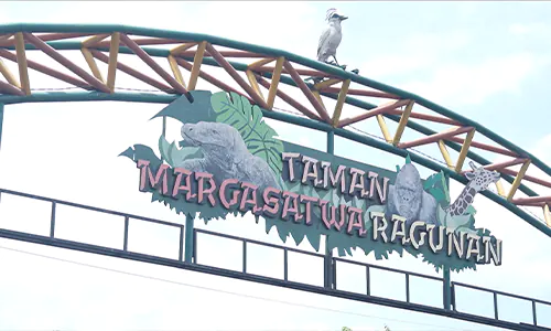 Mengenal Ragunan dan Faunaland, Dua Destinasi Satwa Populer di Jakarta