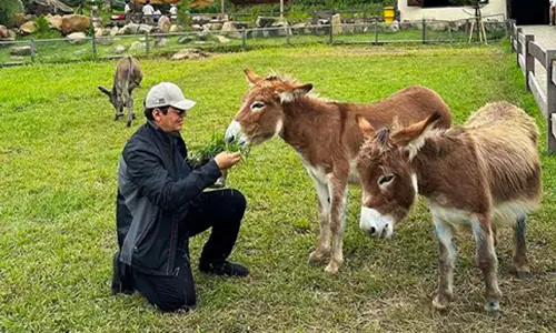 Siantar Zoo: Membesar di Tangan Rahmad Shah