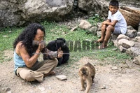 Primata, Karma, dan Hutan Sibaganding yang Terus Menyusut