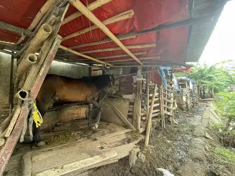 Derap yang Tersisa di Kampung Delman Kemanggisan