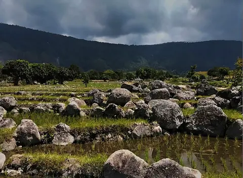 Menuju Batu Sigadap–Sijongjong yang Bukan Sekadar Cagar Budaya 